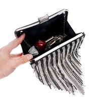 L.west Women Personality Diamonds Tassel Evening Bag  